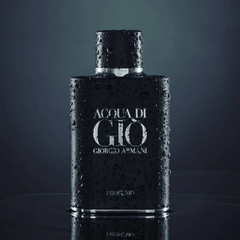 Giorgio Armani Acqua Di Gio Profumo